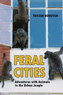 Feral Cities Read online