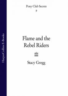 Flame and the Rebel Riders Read online