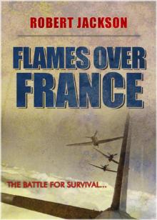 Flames over France Read online