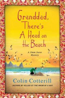 Grandad, Thereэ's head on the beach jj-2 Read online