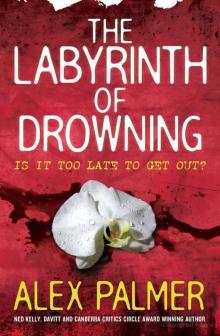 Harrigan and Grace - 03 - The Labyrinth of Drowning Read online