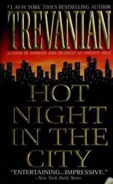 Hot Night in the City Read online