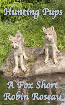 Hunting Pups (The Fox Shorts Book 1) Read online