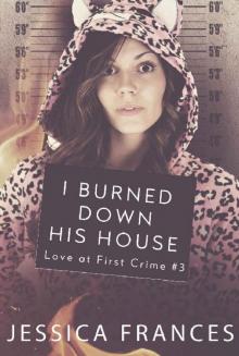 I Burned Down His House (Love at First Crime Book 3)