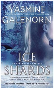 Ice Shards Read online