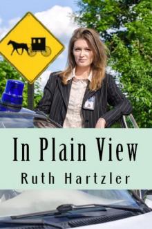 In Plain View (Amish Safe House, Book 2) Read online