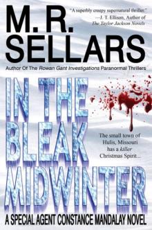 In The Bleak Midwinter: A Special Agent Constance Mandalay Novel Read online