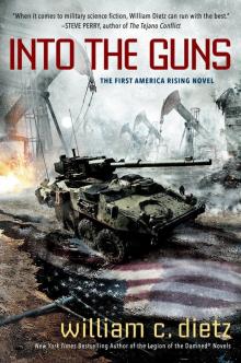 Into the Guns Read online
