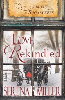 Love Rekindled: Book 3 Read online