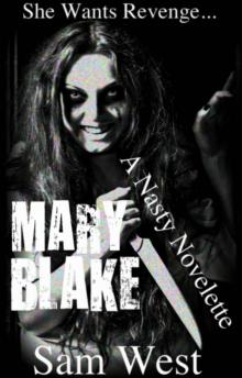Mary Blake: A Nasty Novelette