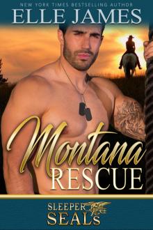 Montana Rescue (Sleeper SEALs) (Volume 6) Read online