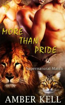 More Than Pride Read online