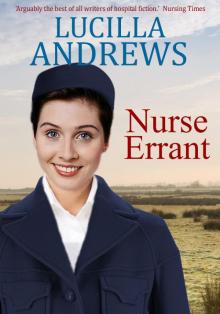 Nurse Errant Read online