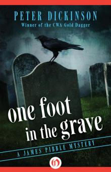 One Foot in the Grave Read online