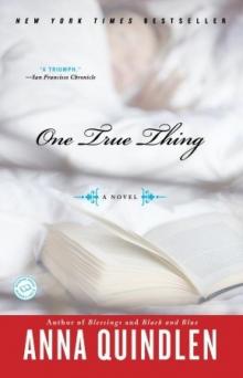 One True Thing: A Novel Read online