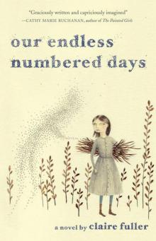 Our Endless Numbered Days: A Novel Read online