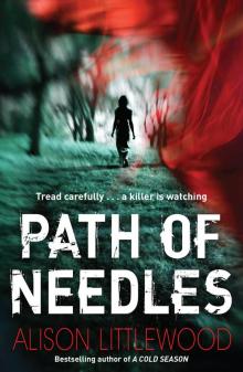 Path of Needles Read online