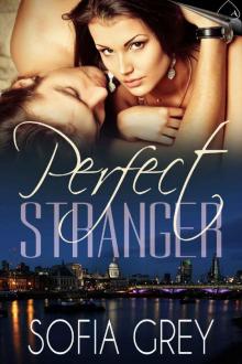 Perfect Stranger Read online