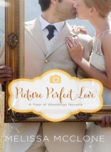Picture Perfect Love (Year Of Weddings 2 Book 7; Series Order 19) (Christian Romance) Read online