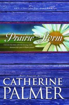 Prairie Storm Read online