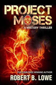 Project Moses - A Mystery Thriller (Enzo Lee Mystery-Thriller Series) Read online