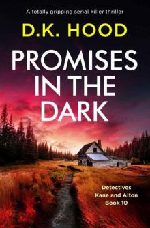 Promises in the Dark Read online
