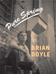 Pure Spring Read online