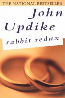 Rabbit Redux r-2 Read online