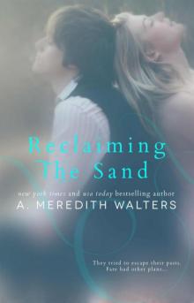 Reclaiming the Sand Read online