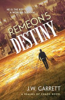 Remeon's Destiny Read online