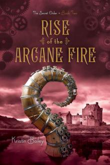 Rise of the Arcane Fire (The Secret Order)