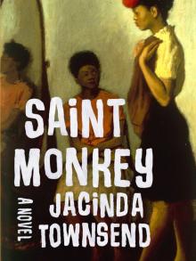 Saint Monkey Read online