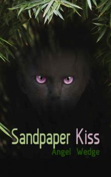 Sandpaper Kiss Read online