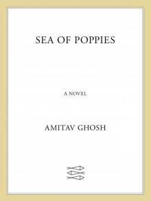Sea of Poppies: A Novel (The Ibis Trilogy) Read online