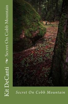 Secret On Cobb Mountain (Cobb Mt Mystery Series Book 1) Read online