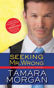 Seeking Mr. Wrong Read online