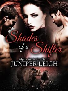 Shades of a Shifter (Alpha Assassins Guild: Part 1) A Werebear Shifter Paranormal Romance Read online