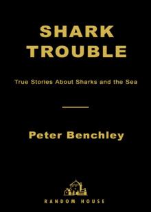 Shark Trouble Read online