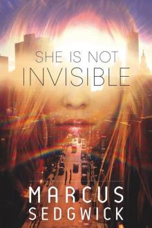 She Is Not Invisible Read online