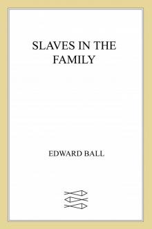 Slaves in the Family Read online