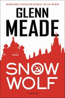 Snow Wolf Read online