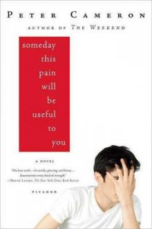 Someday This Pain Will Be Useful to You: A Novel Read online