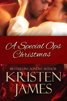 Special Ops Christmas Read online