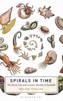 Spirals in Time: The Secret Life and Curious Afterlife of Seashells Read online