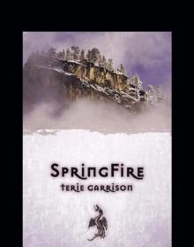 SpringFire Read online