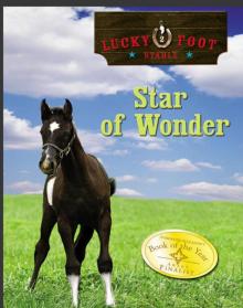 Star of Wonder Read online