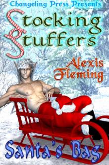 Stocking Stuffer: Santa’s Bag Read online