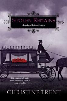 Stolen Remains Read online