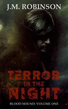 Terror in the Night Read online