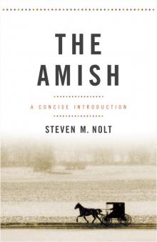 The Amish Read online